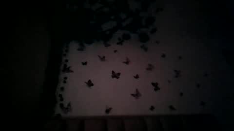 abby_moss_2 online show from July 17, 2026, 12:45 pm