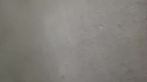 absltorres8 online show from July 14, 2026, 7:57 am