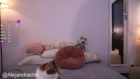 Snapshot of amelie_leigh chatting on May 22, 2026, 1:02 am Alejandra online show from May 22, 2026, 1:02 am