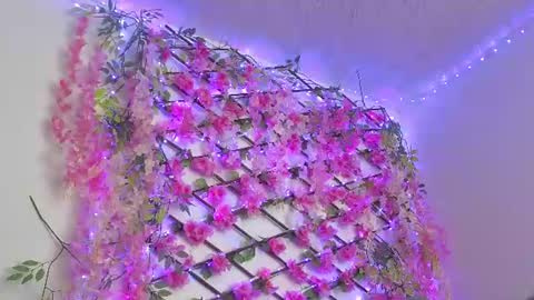 aria_silk online show from July 22, 2026, 9:17 pm