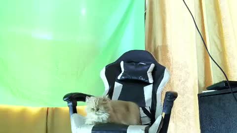 aronmiller online show from July 21, 2026, 2:08 pm