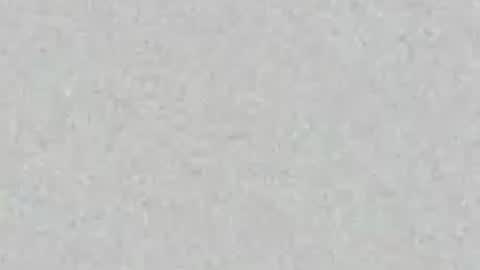 Carolina online show from July 9, 2026, 11:58 am