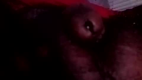 Snapshot of bcfalcon69 chatting on June 25, 2026, 3:28 am bcfalcon69 online show from June 25, 2026, 3:28 am