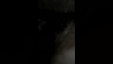 beardfacekilla online show from July 31, 2026, 8:41 pm