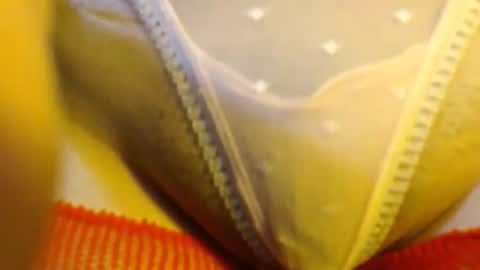 bellafox online show from May 27, 2026, 5:21 pm