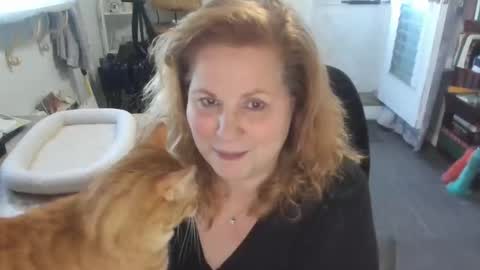 Bellavoca online show from May 31, 2026, 11:17 am