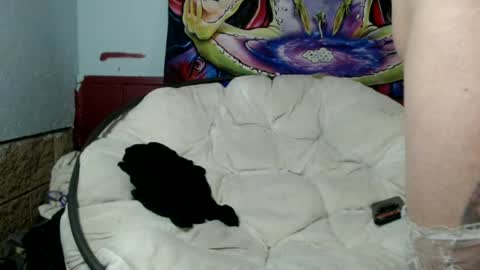 Bent Bunny online show from July 8, 2026, 3:00 am