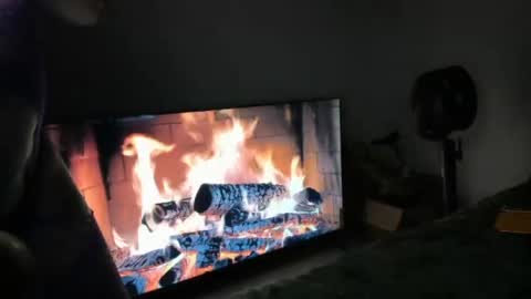 bigbuttsarena online show from June 25, 2026, 4:56 am