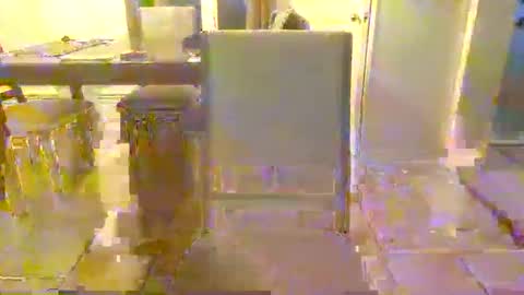 bigdeer581917471 online show from June 8, 2026, 12:47 am
