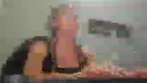 MamaMorgan online show from July 27, 2026, 6:59 pm