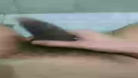bonnie_021 online show from August 4, 2026, 6:38 am