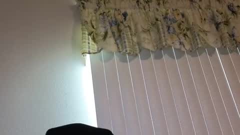 Snapshot of boobi2991 chatting on April 21, 2026, 10:01 pm sissy slut boobi online show from April 21, 2026, 10:01 pm