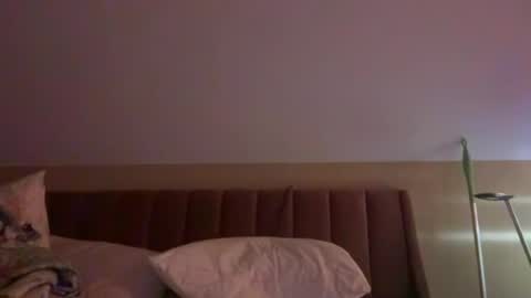 Snapshot of brickmiester2015 chatting on June 14, 2026, 9:33 am brickmiester2015 online show from June 14, 2026, 9:33 am