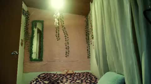 paula online show from July 3, 2026, 4:41 am