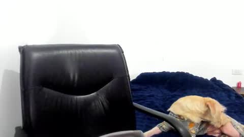 Cami online show from June 12, 2026, 4:22 am