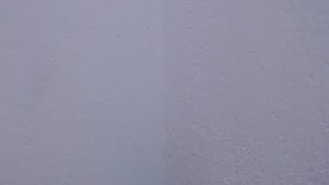 carolina_zabala_19 online show from July 18, 2026, 5:06 pm