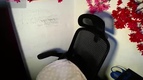 Snapshot of chleo_rosse chatting on June 5, 2026, 12:11 pm chleo_rosse online show from June 5, 2026, 12:11 pm