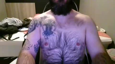 chub bear 99 online show from June 14, 2026, 2:57 am