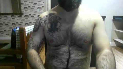 chub bear 99 online show from August 7, 2026, 1:07 am