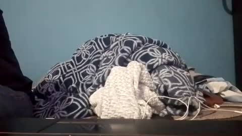 cumbian_chero online show from July 14, 2026, 3:44 am