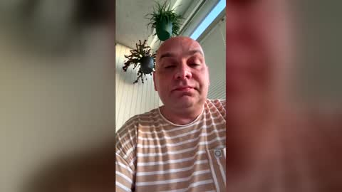 dollpetal online show from June 21, 2026, 8:22 pm