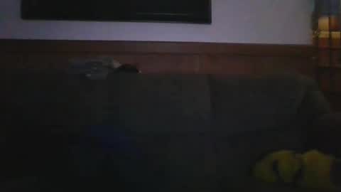 Eazyb91 online show from June 2, 2026, 4:14 am