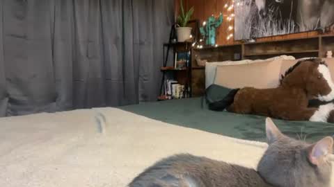 Ella online show from July 6, 2026, 3:03 pm