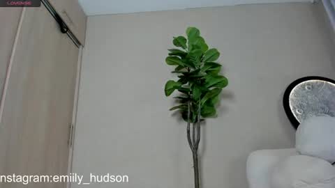independet model online show from June 30, 2026, 9:49 pm
