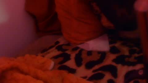 eyelyke2kream online show from July 19, 2026, 8:51 am