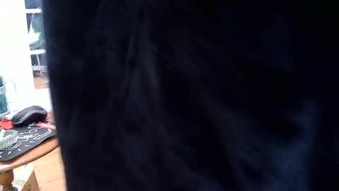 Snapshot of fellatioauto chatting on March 7, 2025, 9:59 pm hungnsexy online show from March 7, 2025, 9:59 pm