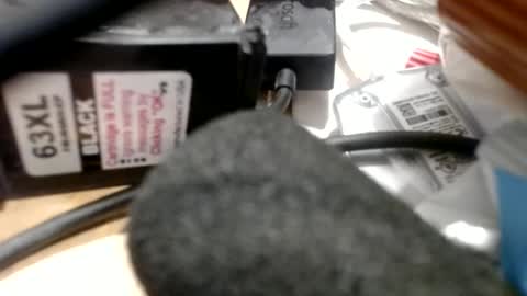 Greg online show from June 30, 2026, 10:55 pm