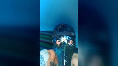 gservin908700634 online show from July 7, 2026, 12:09 pm