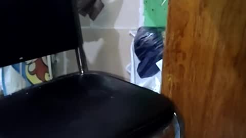 guillermo723 online show from May 2, 2026, 3:44 am