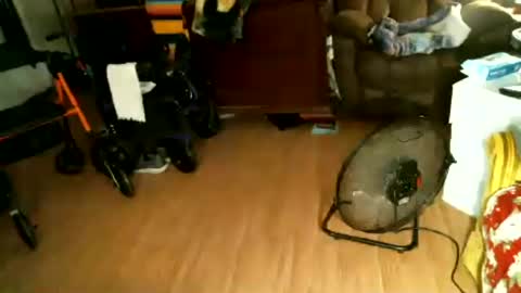 hairybear813 online show from July 27, 2026, 2:51 am
