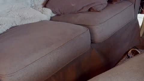 Handy Andy online show from July 5, 2026, 1:18 pm