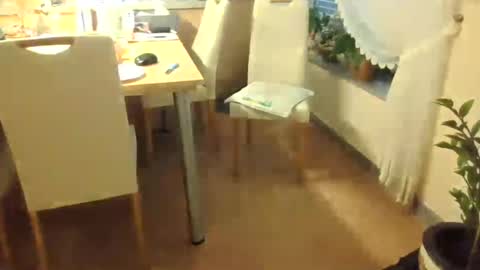 Snapshot of harald1234 chatting on July 26, 2026, 1:18 pm harald1234 online show from July 26, 2026, 1:18 pm