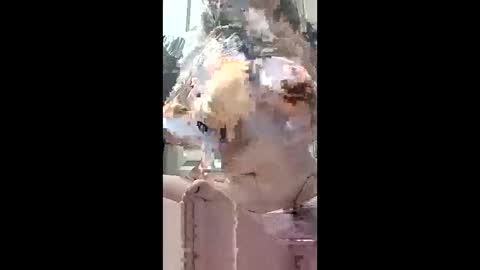 harleen848 online show from May 10, 2026, 10:31 am