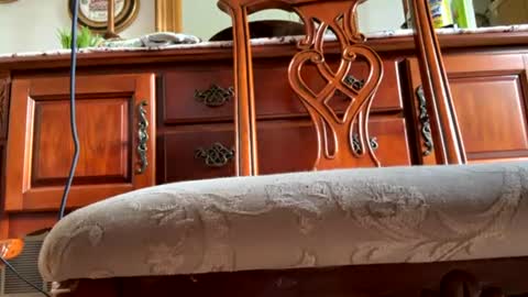 hotgirlbigbutt online show from July 20, 2026, 9:17 pm