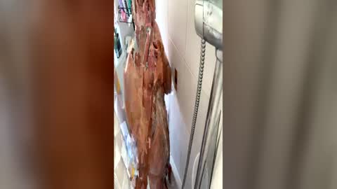 hotman7423 online show from July 5, 2026, 2:35 pm