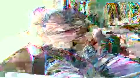Snapshot of hottop_1981 chatting on April 19, 2026, 4:39 pm Hottop 1981 online show from April 19, 2026, 4:39 pm