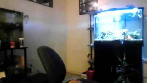 hrnyymff online show from June 29, 2026, 4:52 am