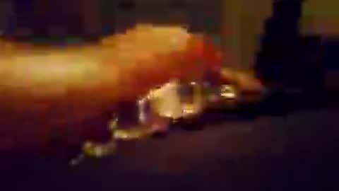 Aussieboy69 online show from July 23, 2026, 5:11 pm