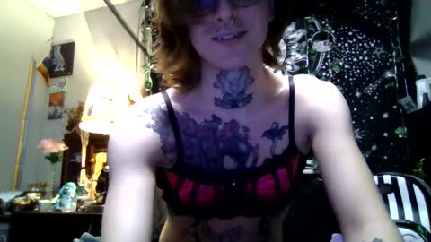 SlyKitten online show from February 21, 2026, 2:56 am