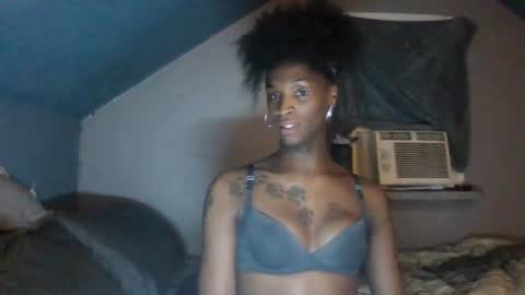 kendaLin online show from June 28, 2026, 8:42 am
