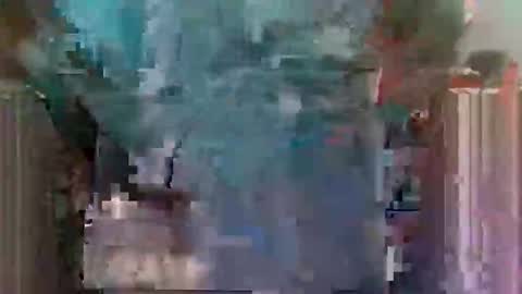 Horny boy online show from May 28, 2026, 10:56 am