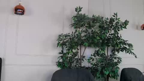 Snapshot of ivylustt chatting on June 24, 2026, 4:44 am IvyLustt online show from June 24, 2026, 4:44 am