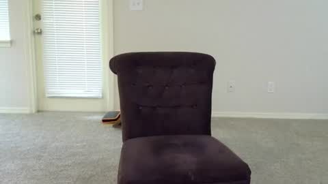 Jack Medikoff online show from July 9, 2026, 12:15 am