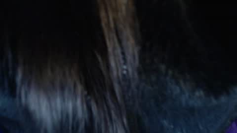 jalea_real_69 online show from July 19, 2026, 6:50 am