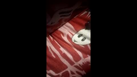 jhonteilorleonramirez277 online show from March 22, 2026, 11:19 pm
