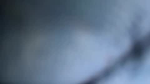 Snapshot of johnjow10 chatting on August 8, 2026, 8:49 am JOHN online show from August 8, 2026, 8:49 am